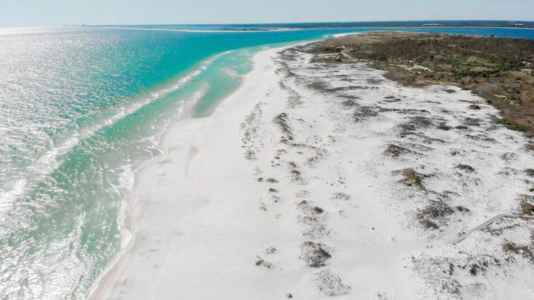 Private, Quiet-Close To Dwntn Pensacola, Stadium, Beaches Villa Exteriör bild
